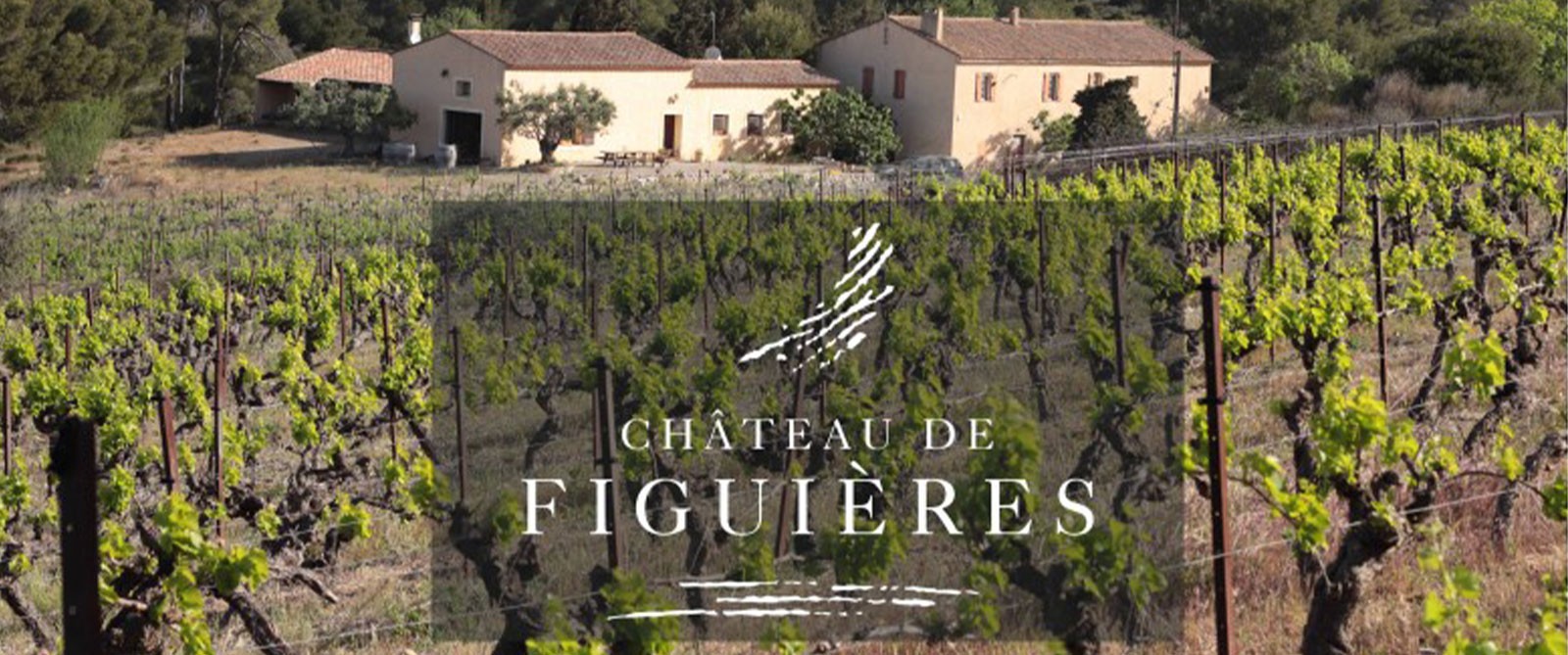 Presentación del Château Figuières con Sébastien MARTIN Le Nez dans le Verre