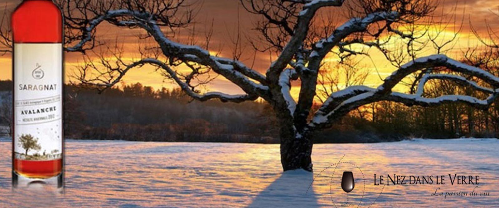  Le Nez dans le Verre